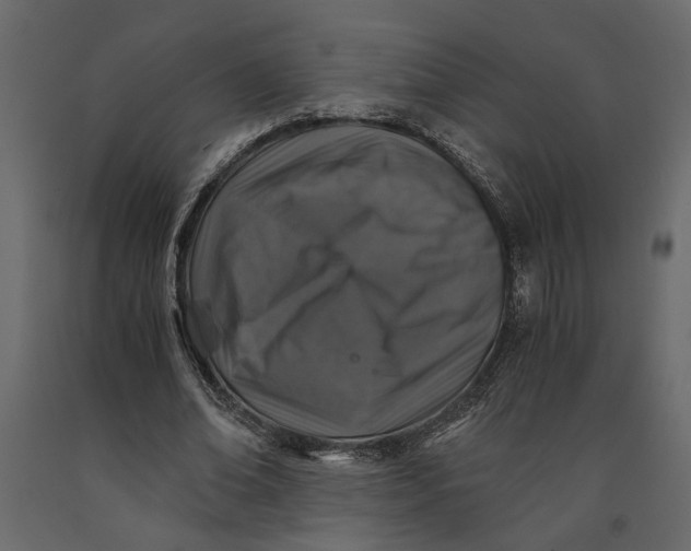 X0000091060678200708271156