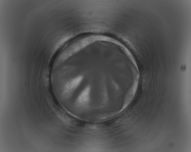 X0000091060679200708271156