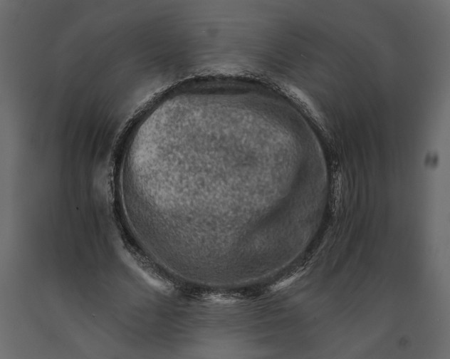X0000091060680200708271156
