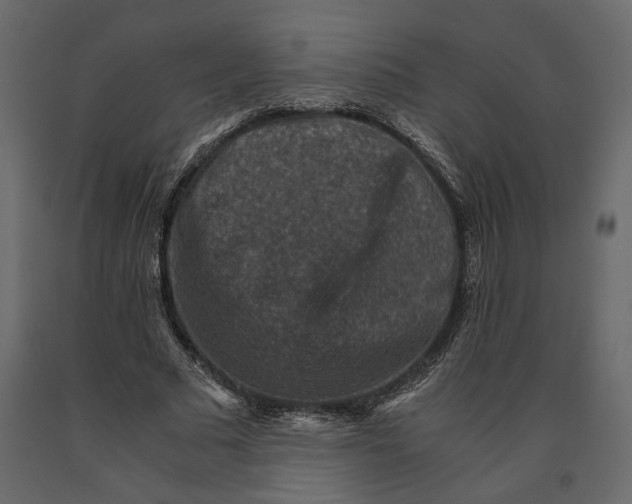 X0000091060681200708271156