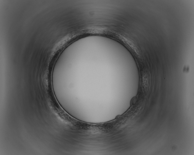X0000091060682200708271156