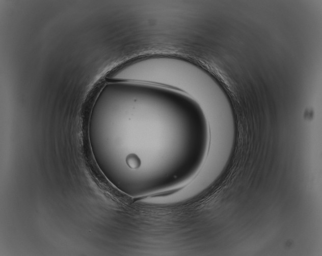 X0000091060684200708271156