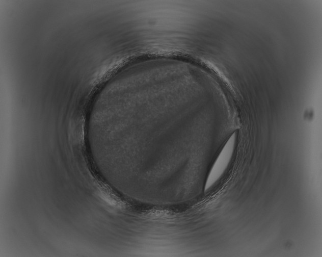 X0000091060685200708271156