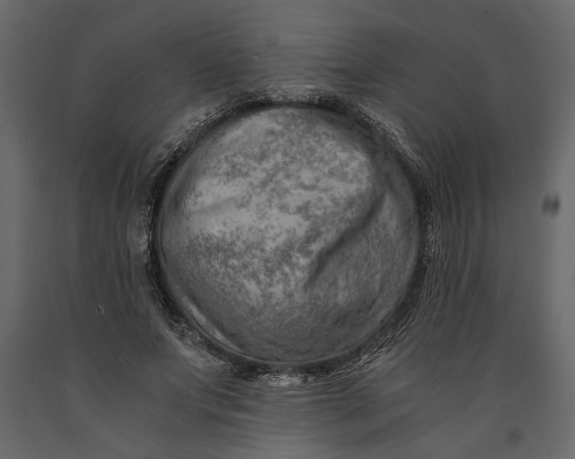 X0000091060687200708271156