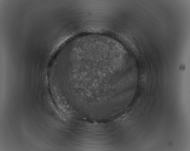 X0000091060688200708271156
