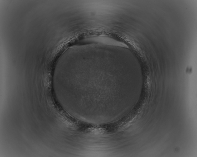 X0000091060689200708271156