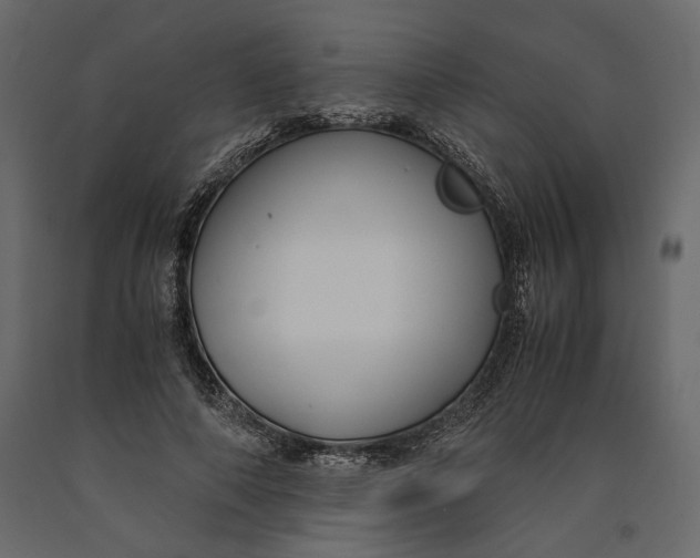 X0000091060690200708271156