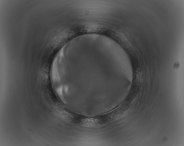 X0000091060691200708271156