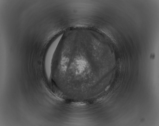 X0000091060692200708271156