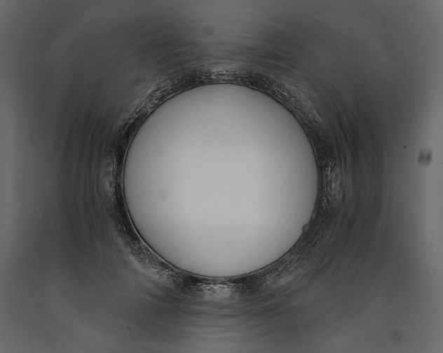 X0000091060698200708271156