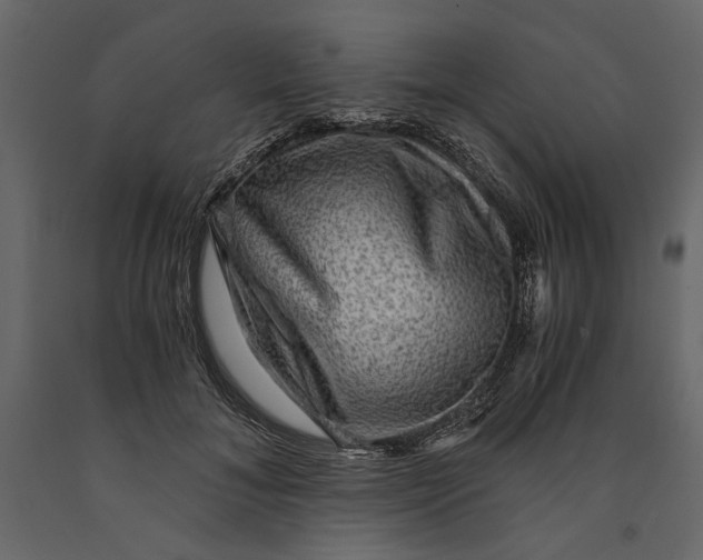 X0000091060700200708271156