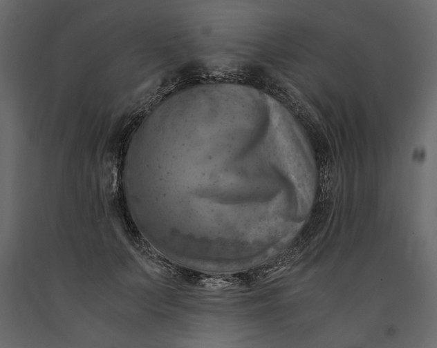 X0000091060703200708271156