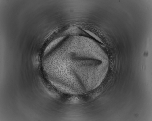 X0000091060704200708271156