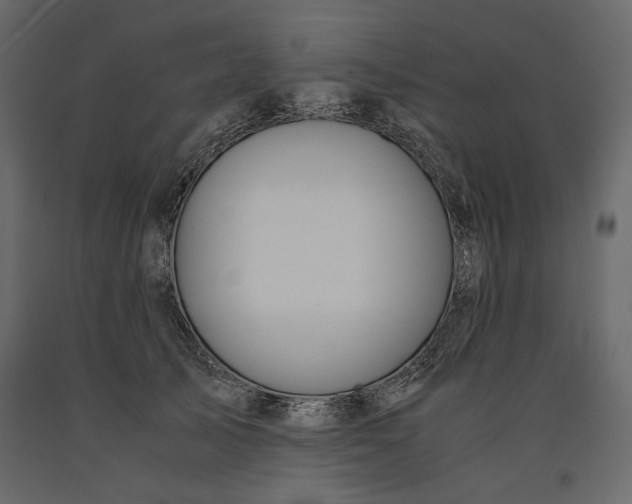X0000091060705200708271156