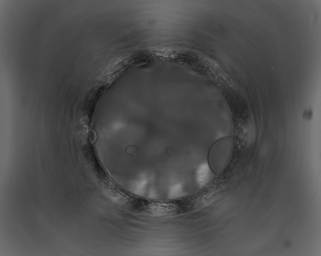 X0000091060707200708271156