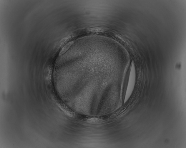 X0000091060708200708271155