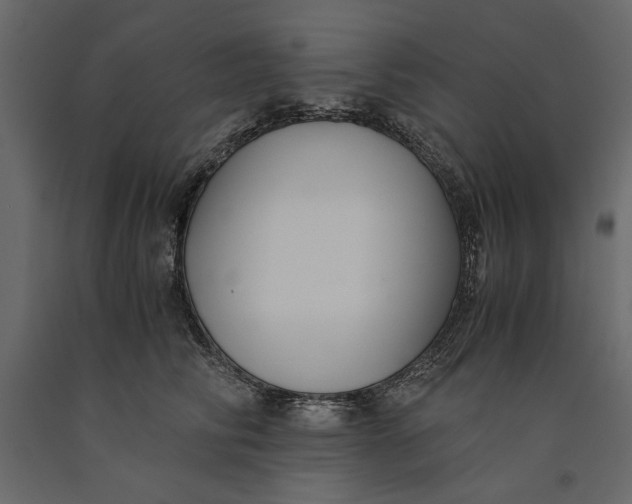 X0000091060710200708271155
