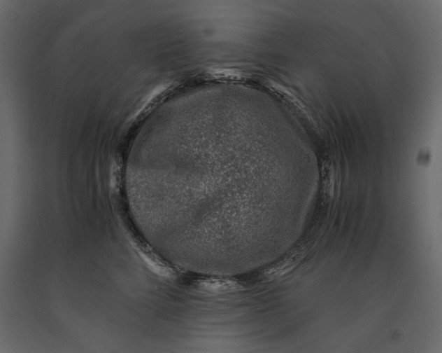 X0000091060712200708271155