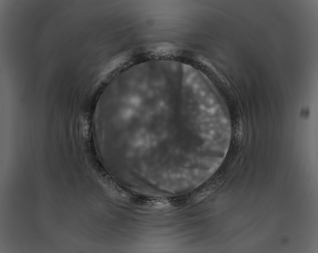 X0000091060715200708271155