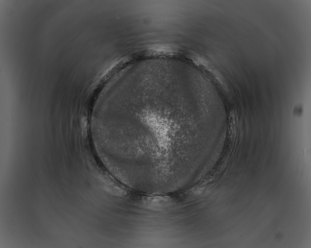X0000091060716200708271155