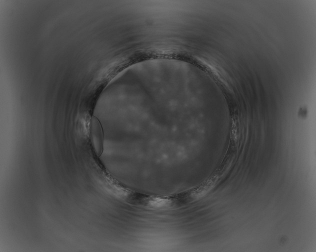 X0000091060718200708271155