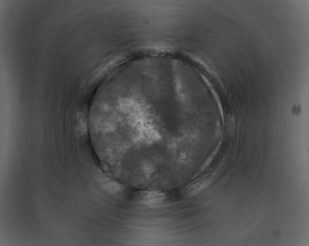 X0000091060719200708271155