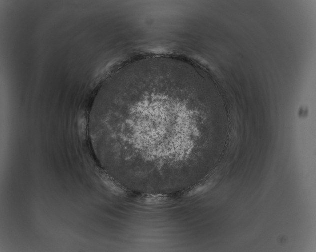X0000091060720200708271155