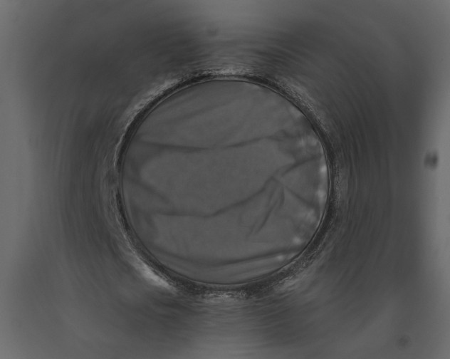 X0000091060721200708271155
