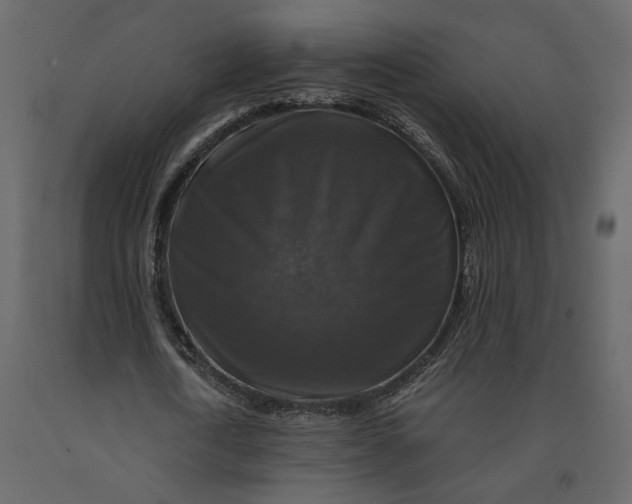 X0000091060722200708271155