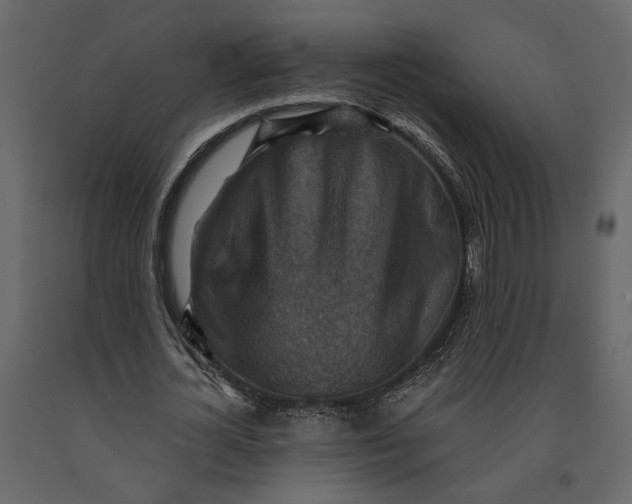X0000091060724200708271155
