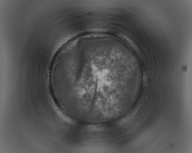 X0000091060725200708271155
