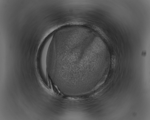 X0000091060726200708271155