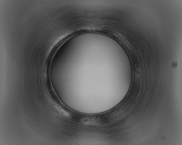 X0000091060727200708271155