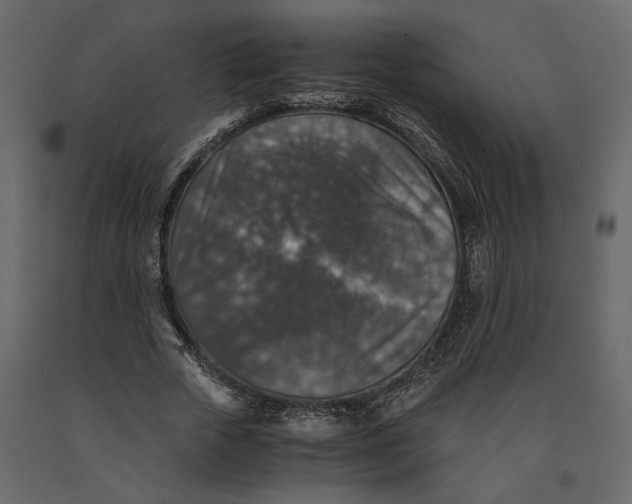 X0000091060729200708271155