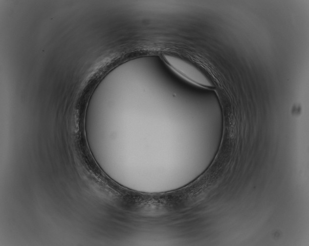 X0000091060731200708271155