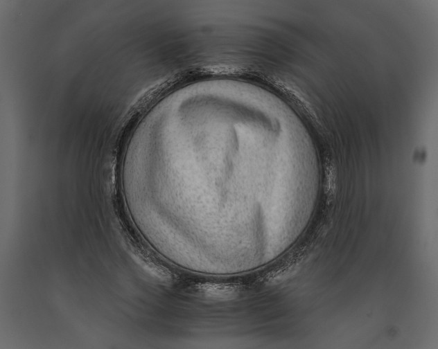 X0000091060733200708271155