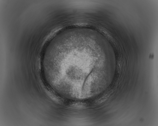 X0000091060734200708271155