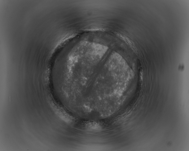 X0000091060735200708271155
