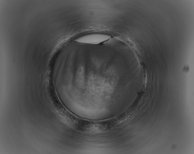 X0000091060736200708271155