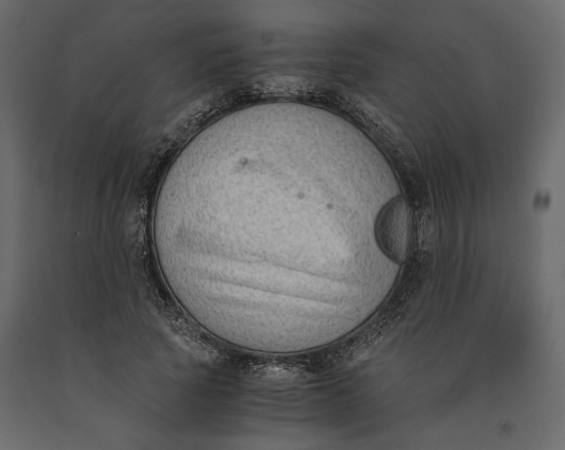 X0000091060737200708271155