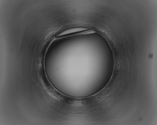 X0000091060740200708271155