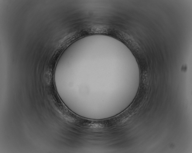 X0000091060741200708271155