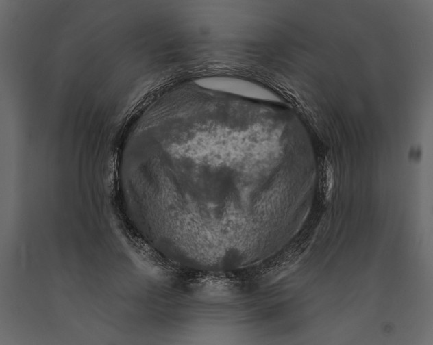 X0000091060742200708271155