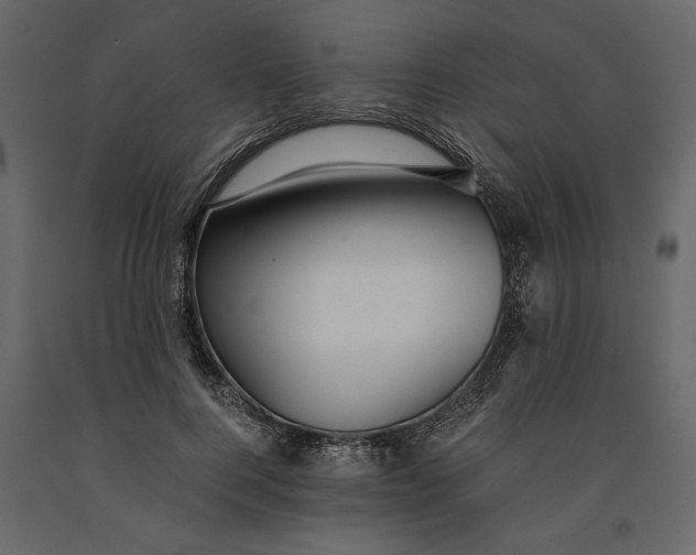 X0000091060744200708271155