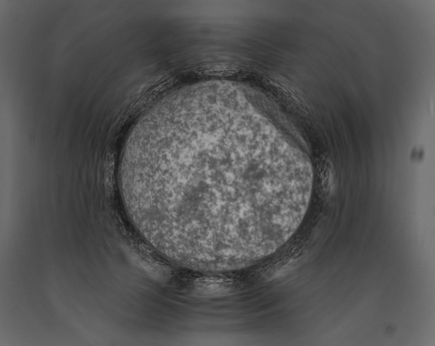 X0000091060745200708271155