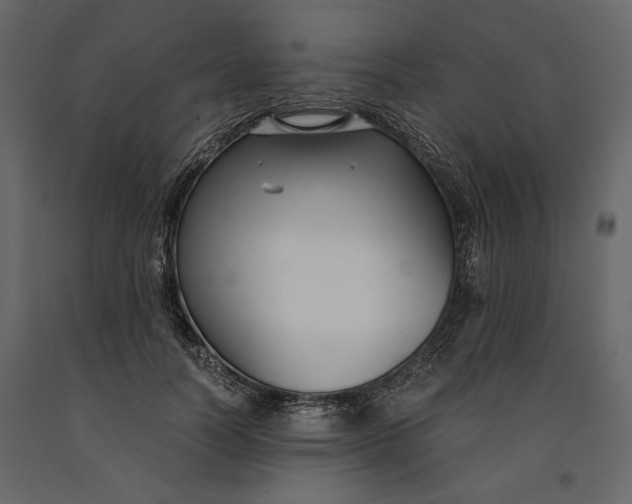 X0000091060746200708271155