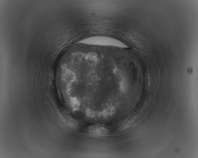 X0000091060747200708271155