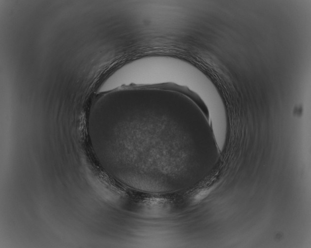 X0000091060748200708271155
