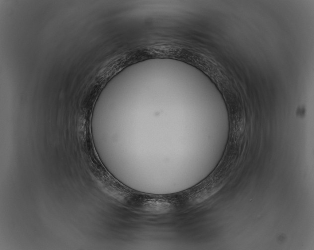 X0000091060749200708271155