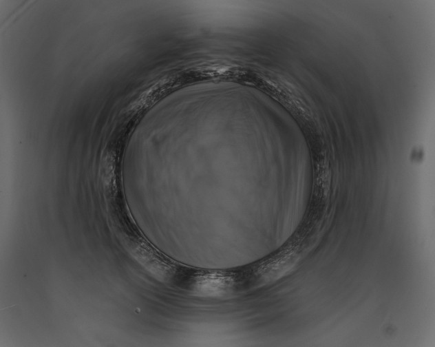 X0000091060754200708271155